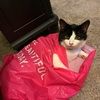 Pam Driver - @pamdriver - Poshmark